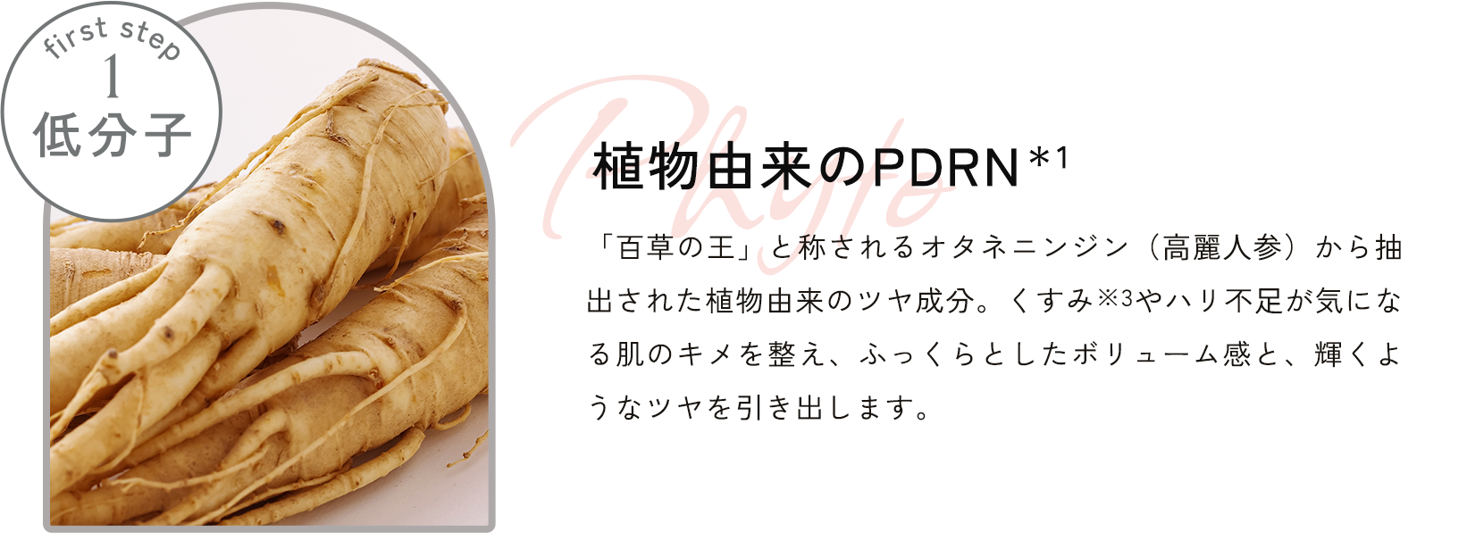 植物由来のPDRN*1 「百草の王」と称されるオタネニンジン(⾼麗⼈参)から抽出された植物由来のツヤ成分。くすみ※3やハリ不⾜が気になる肌のキメを整え、ふっくらとしたボリューム感と、輝くようなツヤを引き出します。