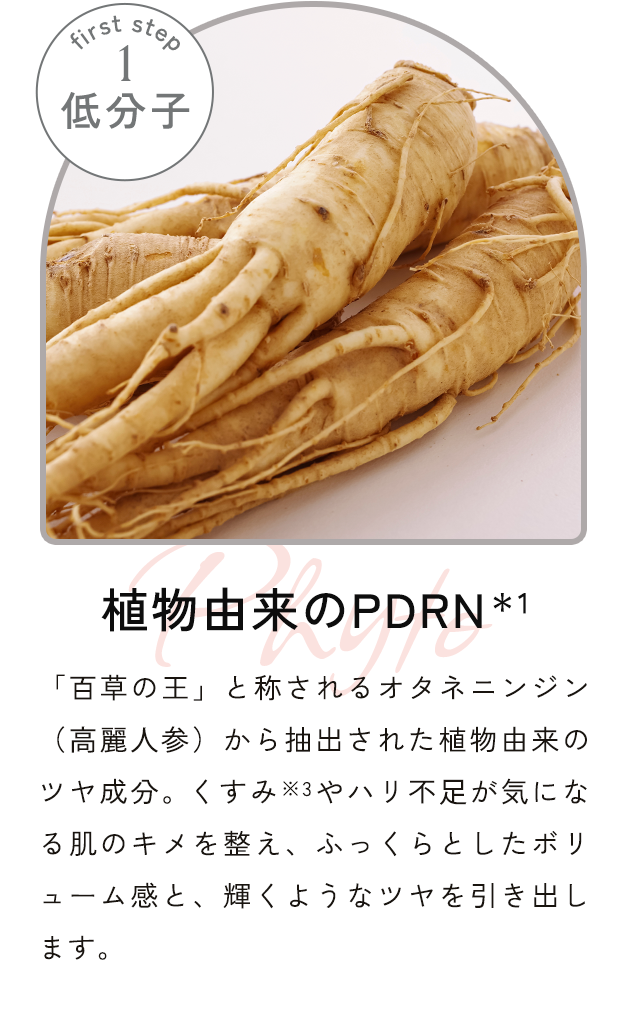 植物由来のPDRN*1 「百草の王」と称されるオタネニンジン(⾼麗⼈参)から抽出された植物由来のツヤ成分。くすみ※3やハリ不⾜が気になる肌のキメを整え、ふっくらとしたボリューム感と、輝くようなツヤを引き出します。