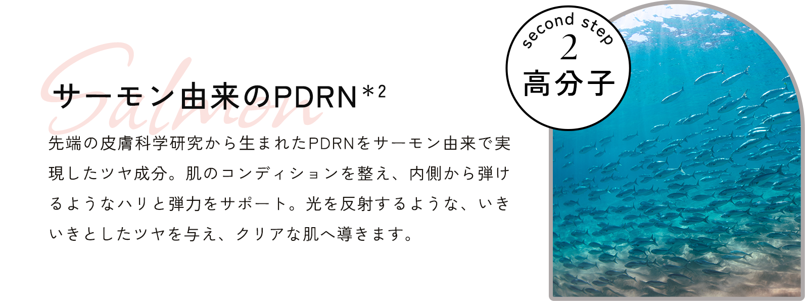 サーモン由来のPDRN*2 先端の⽪膚科学研究から⽣まれたPDRNをサーモン由来で実現したツヤ成分。肌のコンディションを整え、内側から弾けるようなハリと弾⼒をサポート。光を反射するような、いきいきとしたツヤを与え、クリアな肌へ導きます。
