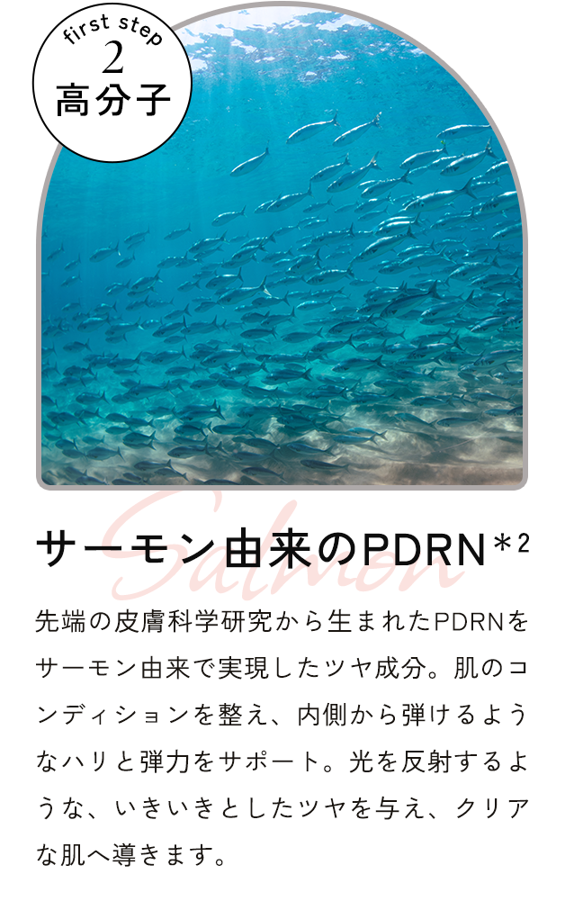 サーモン由来のPDRN*2 先端の⽪膚科学研究から⽣まれたPDRNをサーモン由来で実現したツヤ成分。肌のコンディションを整え、内側から弾けるようなハリと弾⼒をサポート。光を反射するような、いきいきとしたツヤを与え、クリアな肌へ導きます。