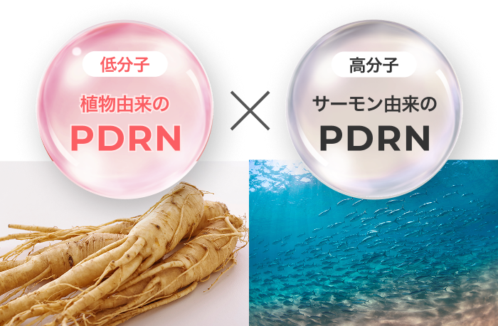 ルルルン ハイドラ PD マスク - フェイスマスク ルルルン【公式】