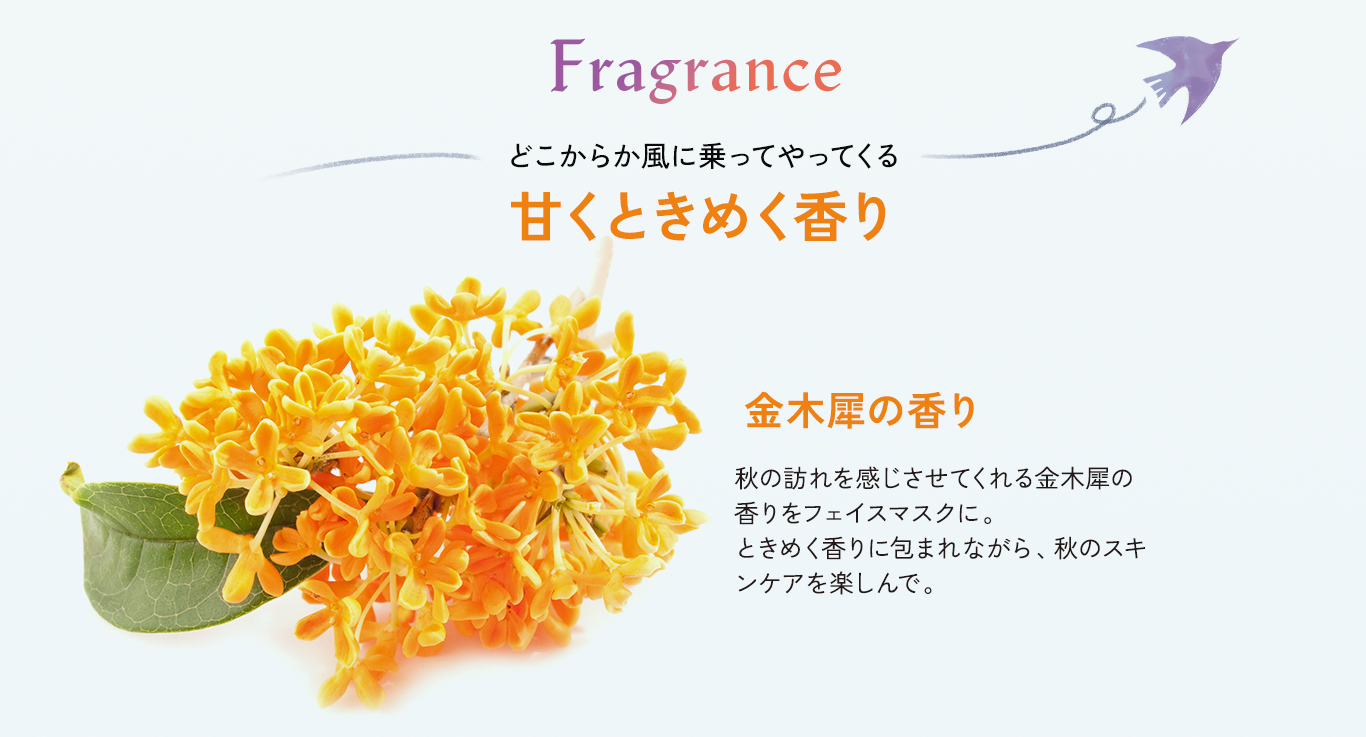 Fragrance どこからか風に乗ってやってくる甘くときめく香り 金木犀の香り 秋の訪れを感じさせてくれる金木犀の香りをフェイスマスクに。ときめく香りに包まれながら、秋のスキンケアを楽しんで。