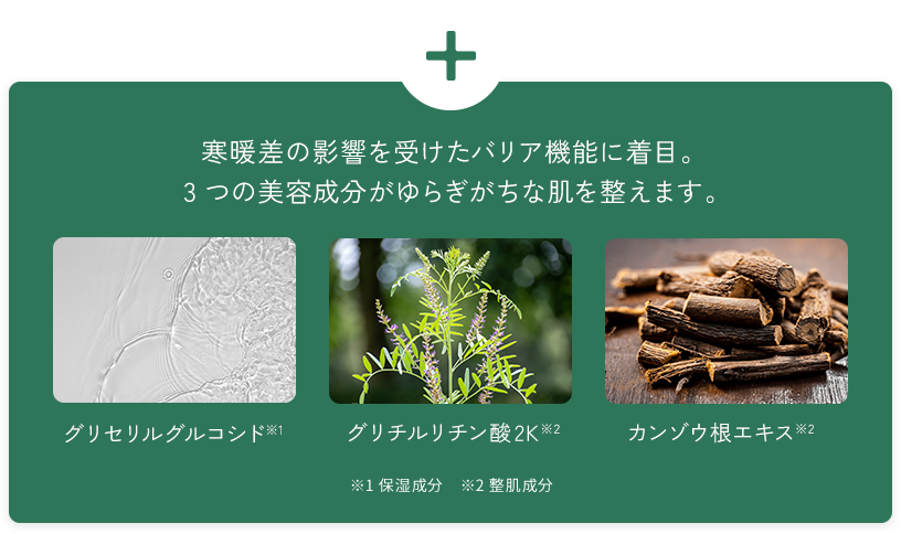 寒暖差の影響を受けたバリア機能に着目。3つの美容成分がゆらぎがちな肌を整えます。