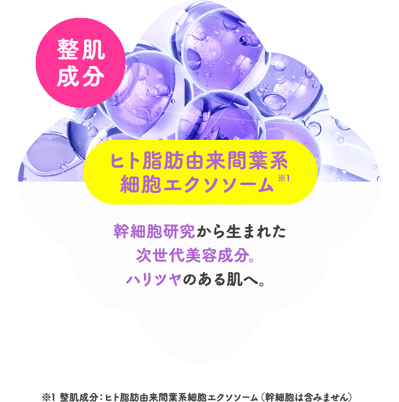 整肌成分 ヒト脂肪由来間葉系細胞エクソソーム 幹細胞研究から生まれた次世代美容成分。ハリツヤのある肌へ。