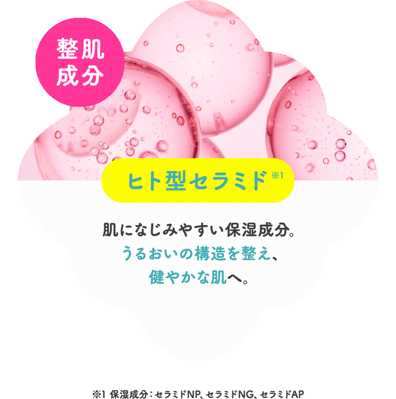整肌成分 ヒト型セラミド 肌になじみやすい保湿成分。うるおいの構造を整え、健やかな肌へ。