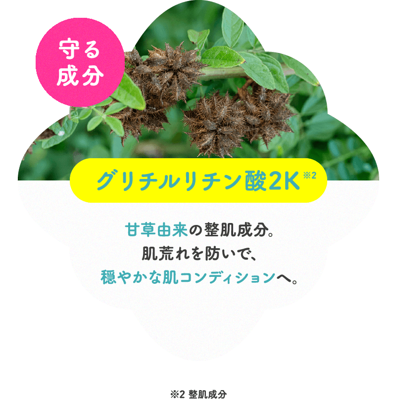 守る成分 グリチルリチン酸2K 甘草由来の整肌成分。肌荒れを防いで、穏やかな肌コンディションへ。