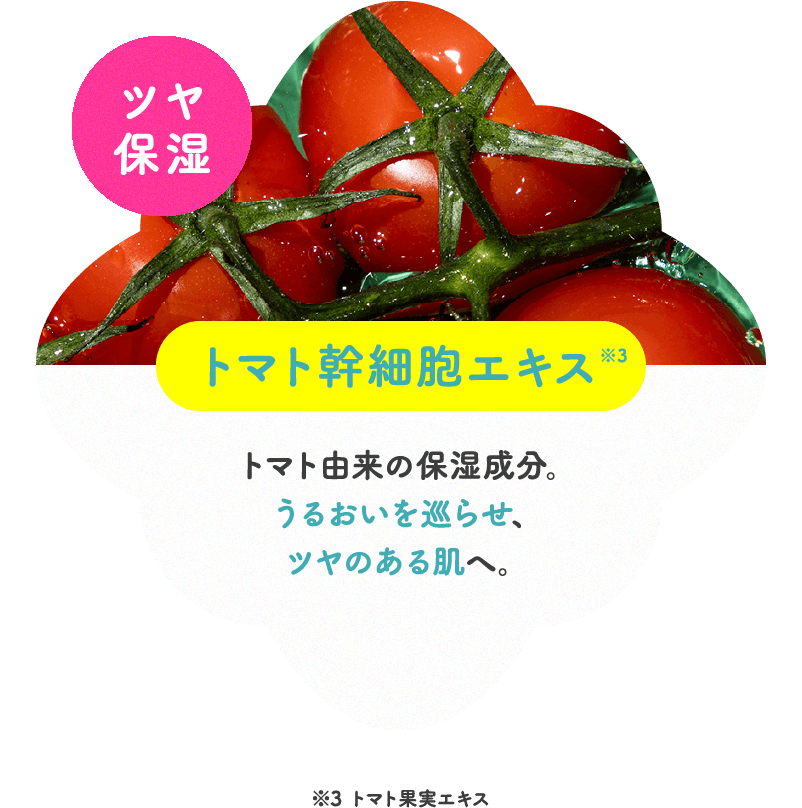 ツヤ保湿 トマト幹細胞エキス トマト由来の保湿成分。うるおいを巡らせ、ツヤのある肌へ。