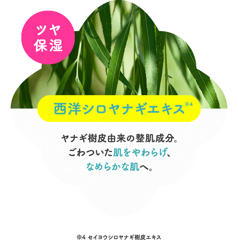 ツヤ保湿 西洋シロヤナギエキス ヤナギ樹皮由来の整肌成分。ごわついた肌をやわらげ、なめらかな肌へ。