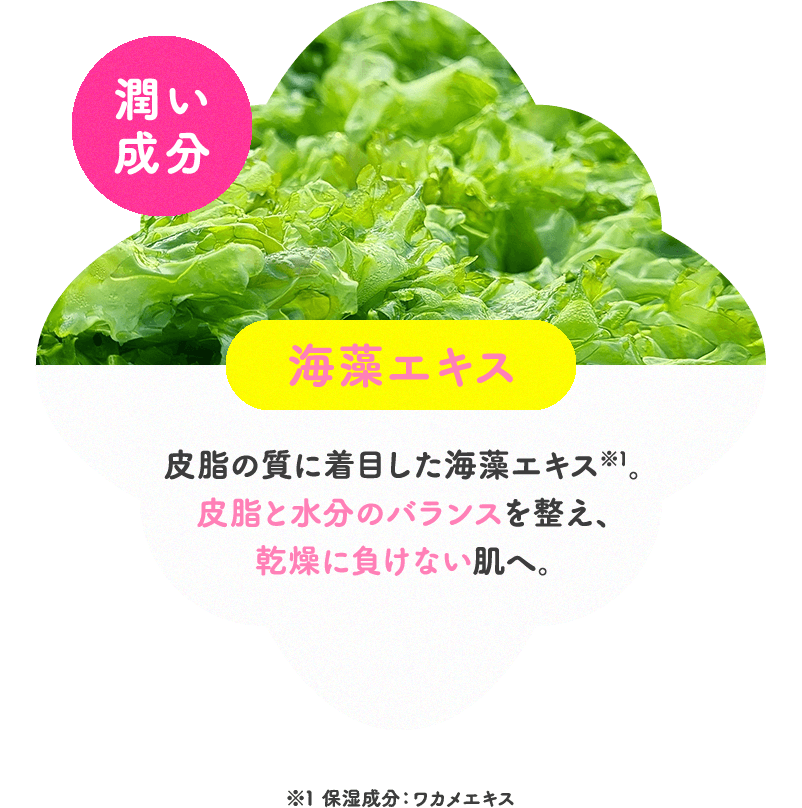 潤い成分 海藻エキス 皮脂の質に着目した海藻エキス。皮脂と水分のバランスを整え、乾燥に負けない肌へ。