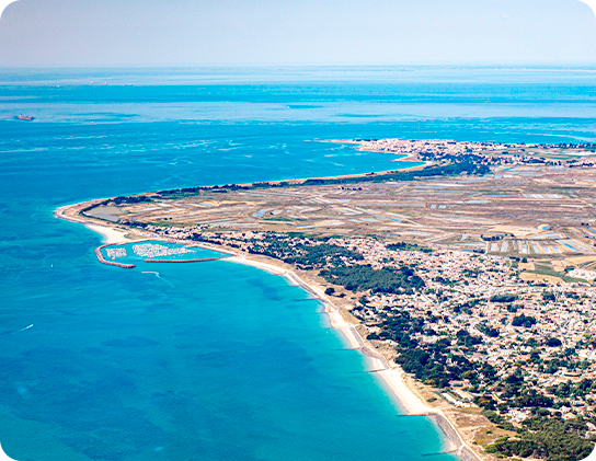 自然豊かな海岸の風景