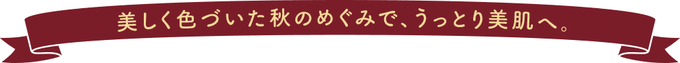美しく色づいた秋のめぐみで、うっとり美肌へ。