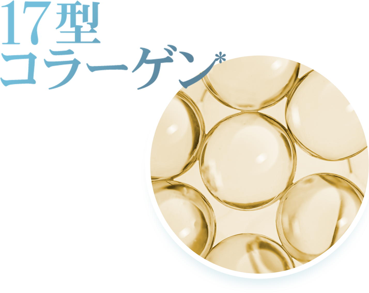 17型コラーゲン