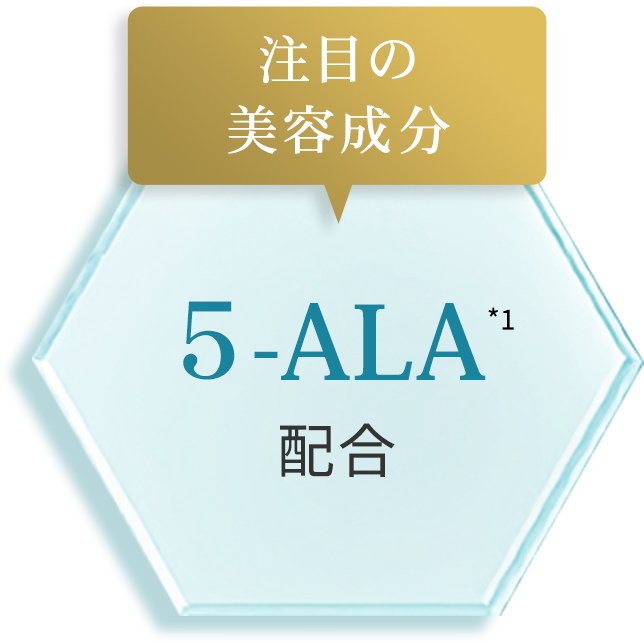 商品イメージ