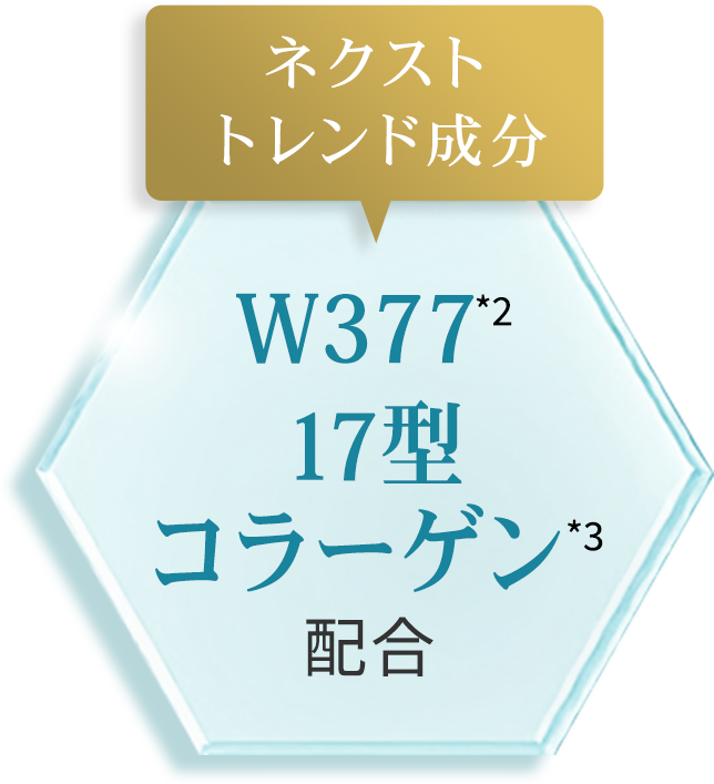 商品イメージ