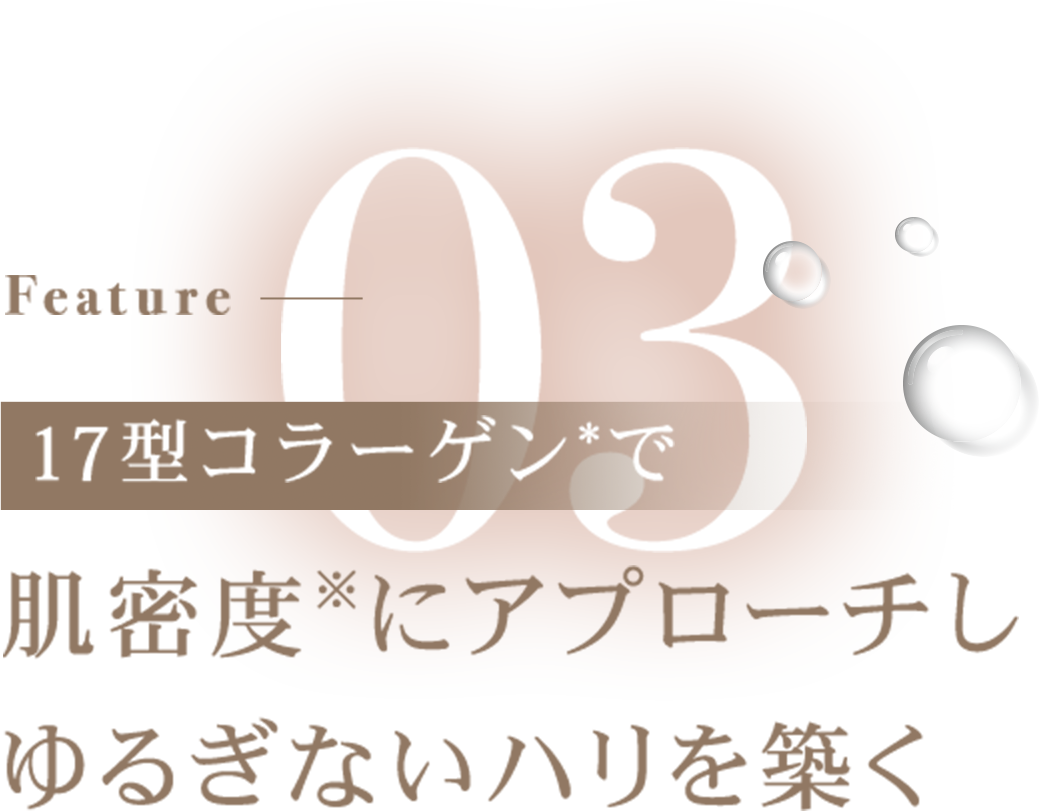 17型コラーゲン*で肌密度※にアプローチし ゆるぎないハリを築く