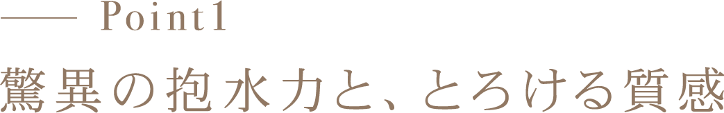 Point1 驚異の抱水力と、とろける質感