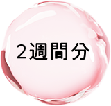 2週間分