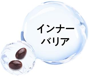 インナーバリア