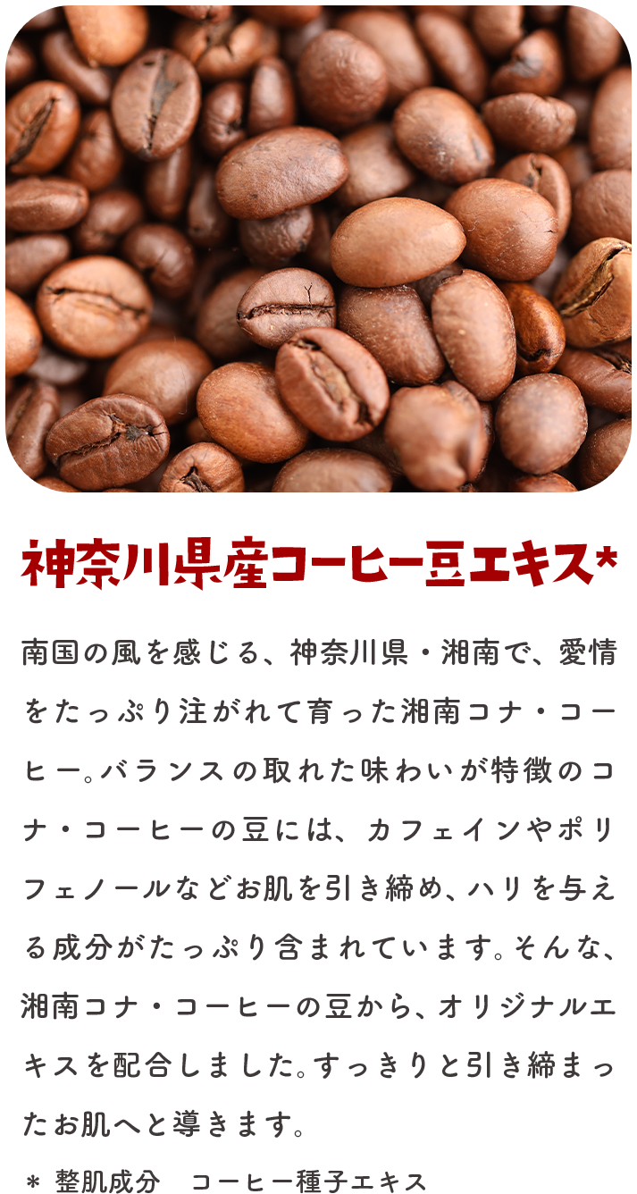 神奈川県産 コーヒー豆エキス★ 南国の風を感じる、神奈川県・湘南で、愛情をたっぷり注がれて育った湘南コナ・コーヒー。バランスの取れた味わいが特徴のコナ・コーヒーの豆には、カフェインやポリフェノールなどお肌を引き締め、ハリを与える成分がたっぷり含まれています。そんな、湘南コナ・コーヒーの豆から、オリジナルエキスを配合しました。すっきりと引き締まったお肌へと導きます。★整肌成分 コーヒー種子エキス