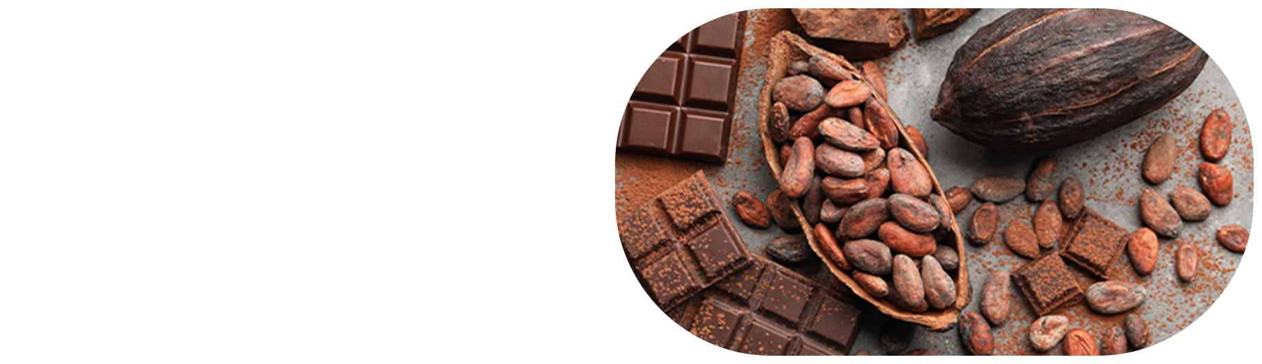 チョコレートとカカオ豆の写真