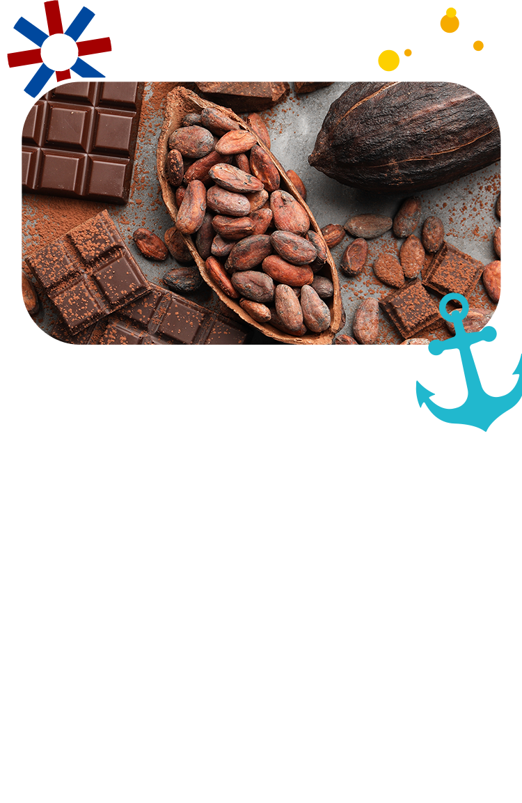 チョコレートとカカオ豆の写真