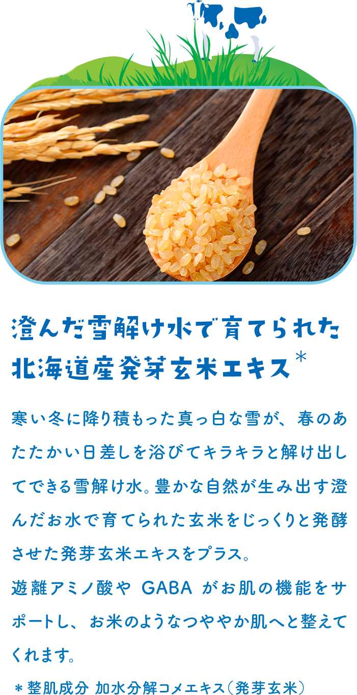 澄んだ雪解け水で育てられた北海道産発芽玄米エキス＊ 寒い冬に降り積もった真っ白な雪が、春のあたたかい日差しを浴びてキラキラと解け出してできる雪解け水。豊かな自然が生み出す澄んだお水で育てられた玄米をじっくりと発酵させた発芽玄米エキスをプラス。遊離アミノ酸やGABAがお肌の機能をサポートし、お米のようなつややか肌へと整えてくれます。＊整肌成分 加水分解コメエキス（発芽玄米）