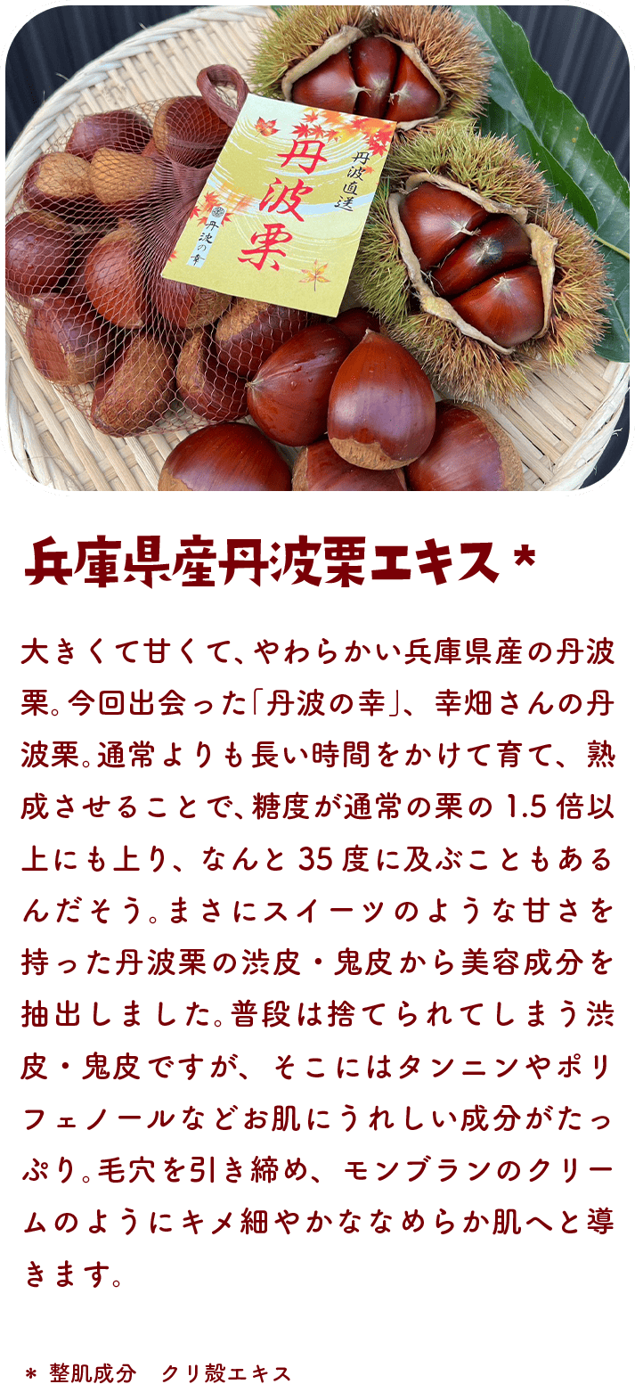 兵庫県産丹波栗エキス 大きくて甘くて、やわらかい兵庫県産の丹波栗。今回出会ったのは、「丹波の幸」、幸畑さんの丹波栗。通常よりも長い時間をかけて育て、熟成させることで、糖度が通常の栗の1.5倍以上にも上り、なんと35度に及ぶこともあるんだそう。まさにスイーツのような甘さを持った丹波栗の渋皮・鬼皮から美容成分を抽出しました。普段は捨てられてしまう渋皮・鬼皮ですが、そこにはタンニンやポリフェノールなどお肌にうれしい成分がたっぷり。毛穴を引き締め、モンブランのクリームのようにキメ細やかななめらか肌へと導きます。＊整肌成分 クリ殻エキス
