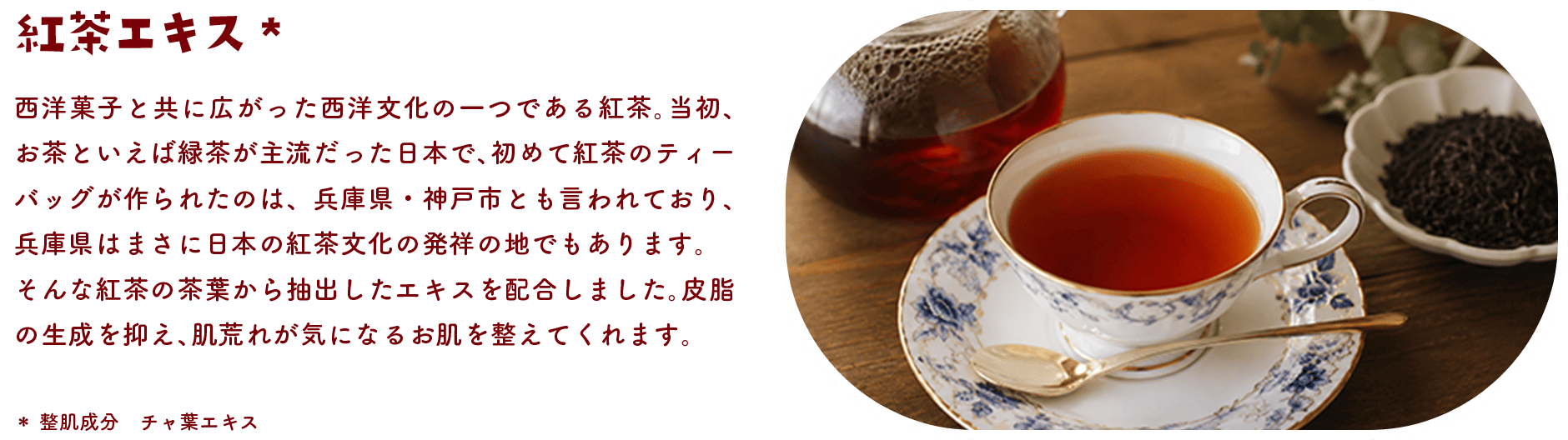 紅茶エキス 西洋菓子と共に広がった西洋文化の一つである紅茶。当初、お茶といえば緑茶が主流だった日本で、初めて紅茶のティーバッグが作られたのは、兵庫県・神戸市とも言われており、兵庫県はまさに日本の紅茶文化の発祥の地でもあります。そんな紅茶の茶葉から抽出したエキスを配合しました。皮脂の生成を抑え、肌荒れが気になるお肌を整えてくれます。＊整肌成分 チャ葉エキス