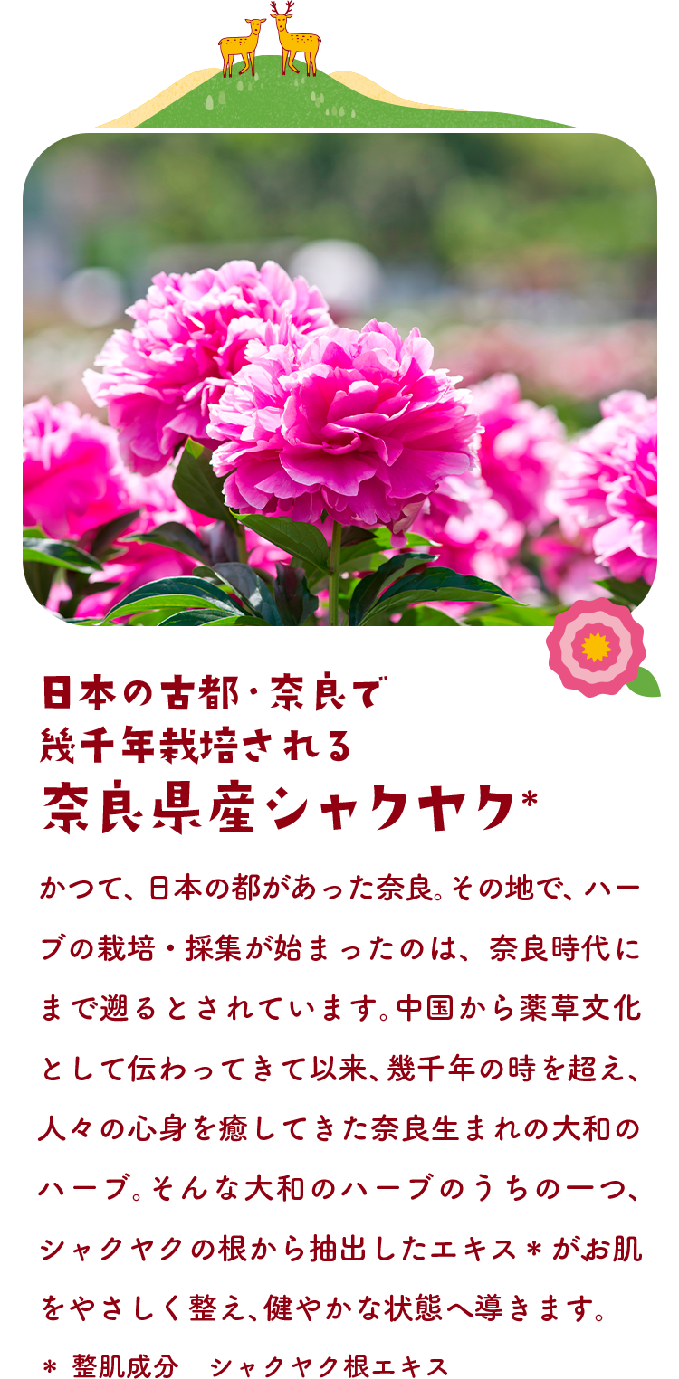 日本の古都・奈良で幾千年栽培される 奈良県産シャクヤク＊　かつて、日本の都があった奈良。その地で、ハーブの栽培・採集が始まったのは、奈良時代にまで遡るとされています。中国から薬草文化として伝わってきて以来、幾千年の時を超え、人々の心身を癒してきた奈良生まれの大和のハーブ。そんな大和のハーブのうちの一つ、シャクヤクの根から抽出したエキス＊が、お肌をやさしく整え、健やかな状態へ導きます。＊整肌成分　シャクヤク根エキス