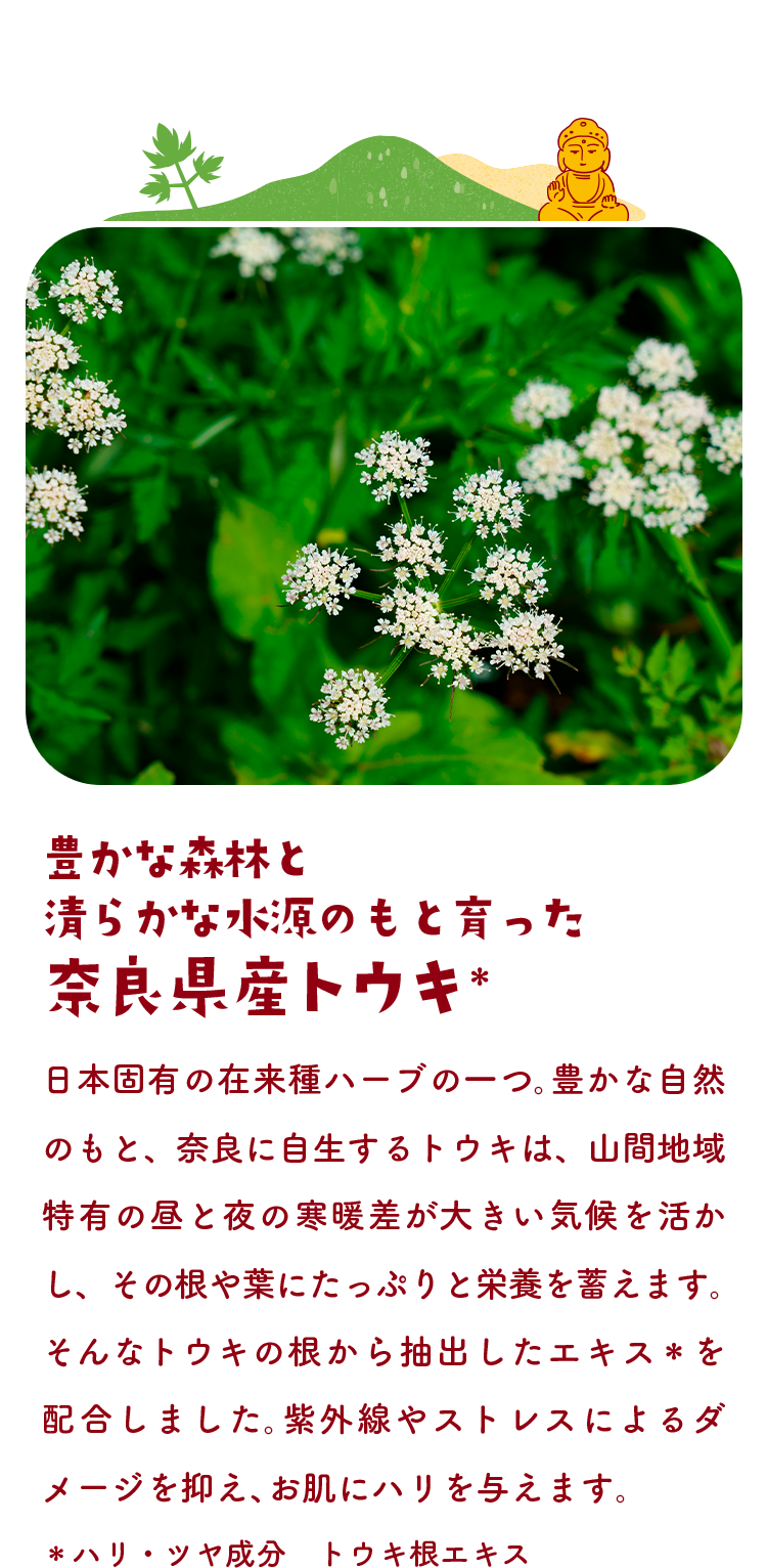 豊かな森林と清らかな水源のもと育った 奈良県産トウキ＊　日本固有の在来種ハーブの一つ。豊かな自然のもと、奈良に自生するトウキは、山間地域特有の昼と夜の寒暖差が大きい気候を活かし、その根や葉に含まれる成分を凝縮します。そんなトウキの根から抽出したエキス＊を配合しました。紫外線やストレスによるダメージを抑え、お肌にハリを与えます。＊ハリ・ツヤ成分　トウキ根エキス