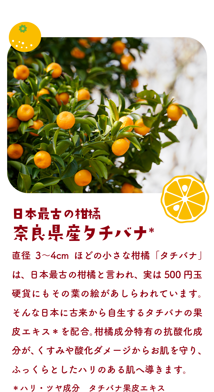 日本最古の柑橘 奈良県産タチバナ＊　直径3〜4cmほどの小さな柑橘「タチバナ」は、日本最古の柑橘と言われ、実は500円玉硬貨にもその葉の絵があしらわれています。そんな日本に古来から自生するタチバナの果皮エキス＊を配合。柑橘成分特有の抗酸化成分が、くすみや酸化ダメージからお肌を守り、ふっくらとしたハリのある肌へ導きます。＊ハリ・ツヤ成分　タチバナ果皮エキス