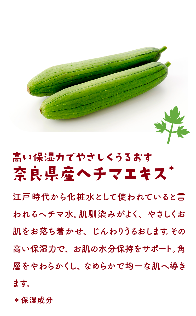 高い保湿力でやさしくうるおす 奈良県産ヘチマエキス＊　江戸時代から化粧水として使われていると言われるヘチマ水。肌馴染みがよく、やさしくお肌をお落ち着かせ、じんわりうるおします。その高い保湿力で、お肌の水分保持をサポート。角層をやわらかくし、なめらかで均一な肌へ導きます。＊保湿成分