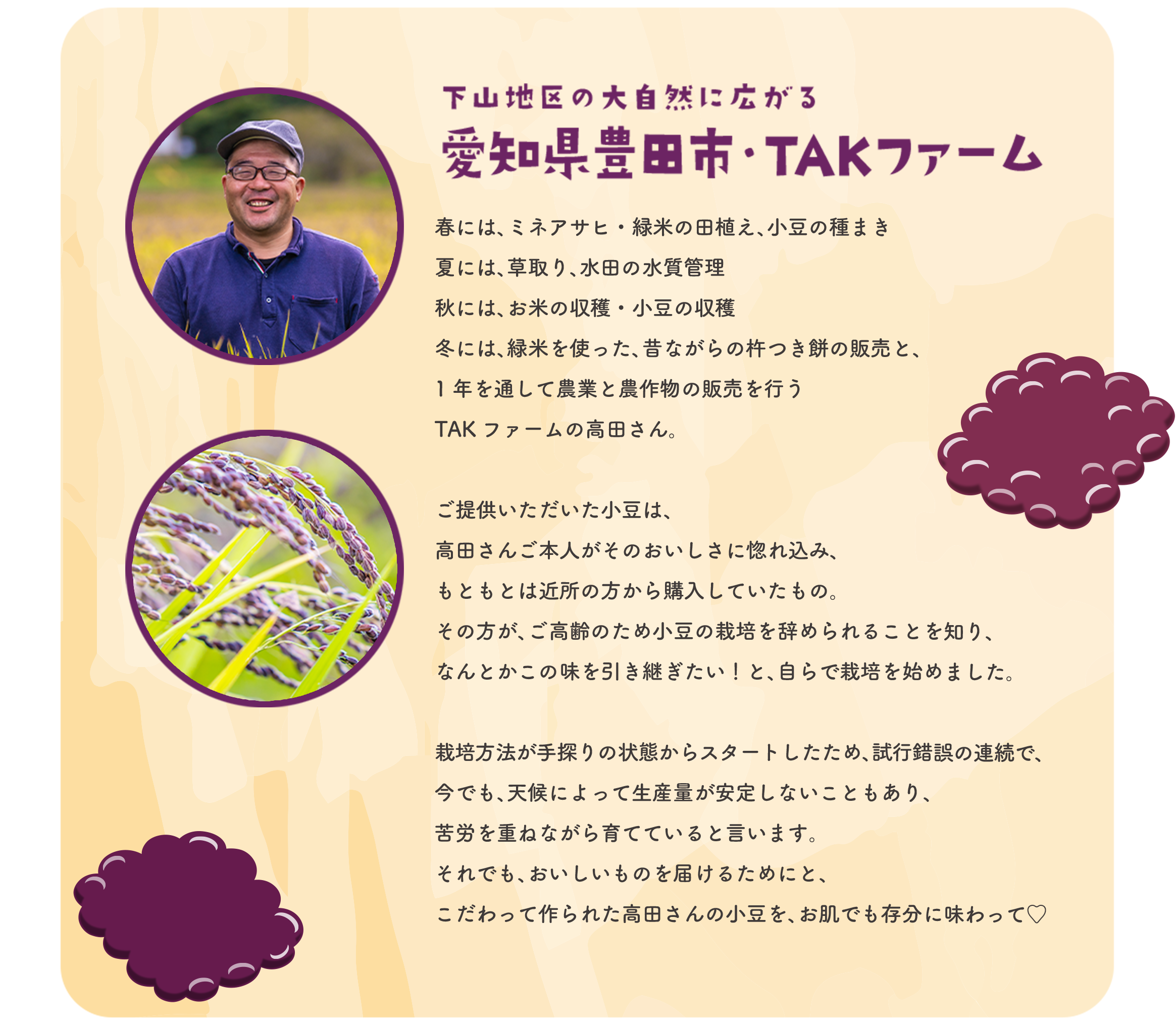 下山地区の大自然に広がる 愛知県豊田市・TAKファーム 春には、ミネアサヒ・緑米の田植え、小豆の種まき。夏には、草取り、水田の水質管理。秋には、お米の収穫・小豆の収穫。冬には、緑米を使った、昔ながらの杵つき餅の販売と、1年を通して農業と農作物の販売を行うTAKファームの高田さん。ご提供いただいた小豆は、高田さんご本人がそのおいしさに惚れ込み、もともとは近所の方から購入していたもの。その方が、ご高齢のため小豆の栽培を辞められることを知り、なんとかこの味を引き継ぎたい！と、自らで栽培を始めました。栽培方法が手探りの状態からスタートしたため、試行錯誤の連続で、今でも、天候によって生産量が安定しないこともあり、苦労を重ねながら育てていると言います。それでも、おいしいものを届けるためにと、こだわって作られた高田さんの小豆を、お肌でも存分に味わって♡