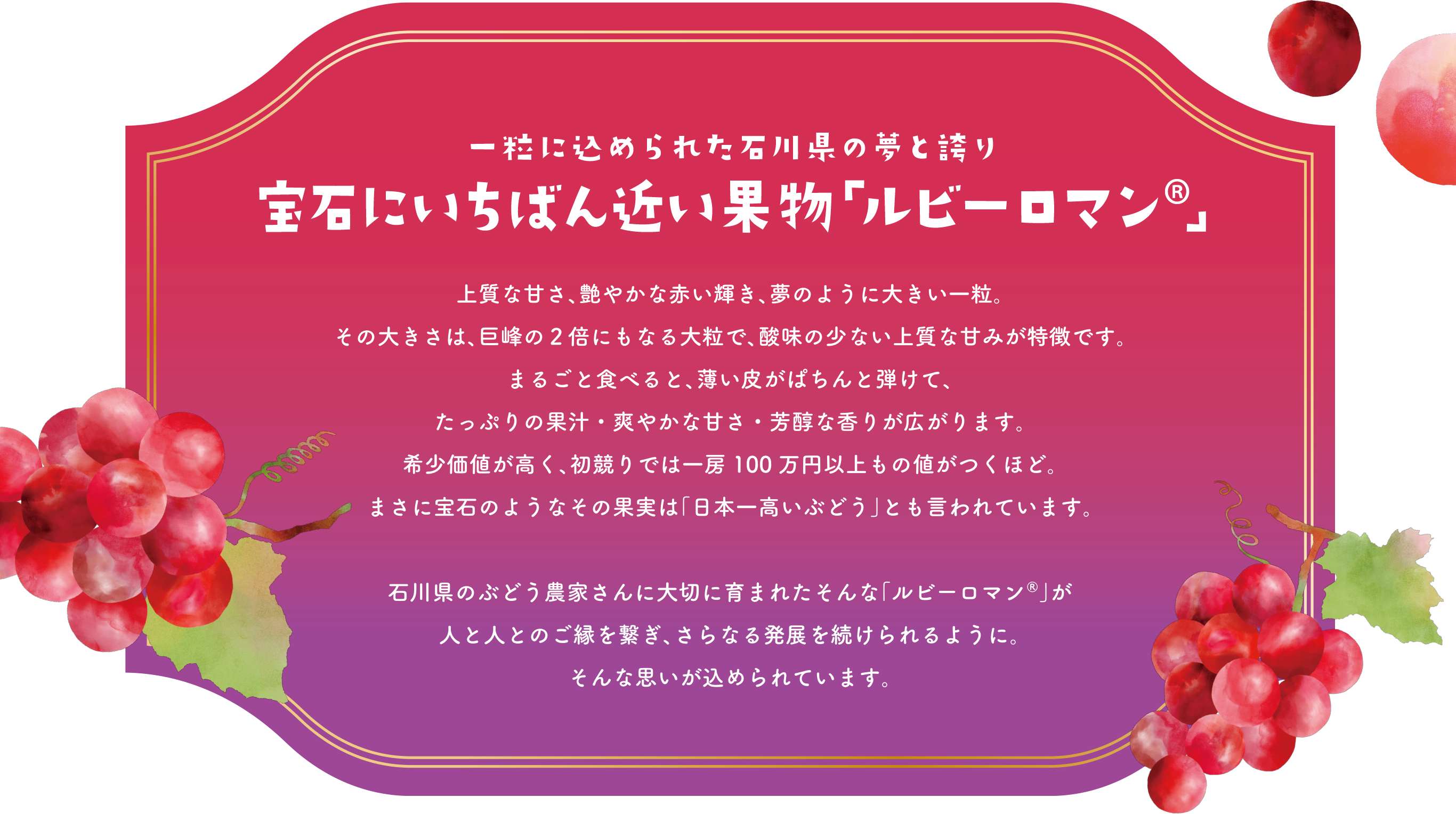 一粒に込められた石川県の夢と誇り 宝石にいちばん近い果物「ルビーロマン®」 上質な甘さ、艶やかな赤い輝き、夢のように大きな一粒。その大きさは、巨峰の2倍にもなる大粒で、酸味の少ない上質な甘みが特徴です。まるごと食べると、薄い皮がぱちんと弾けて、たっぷりの果汁・爽やかな甘さ・芳醇な香りが広がります。希少価値が高く、初競りでは一房100万円以上もの値がつくほど。まさに宝石のようなその果実は「日本一高いぶどう」とも言われています。石川県のぶどう農家さんに大切に育まれたそんな「ルビーロマン®」が、人と人とのご縁を繋ぎ、さらなる発展を続けられるように。そんな思いが込められています。