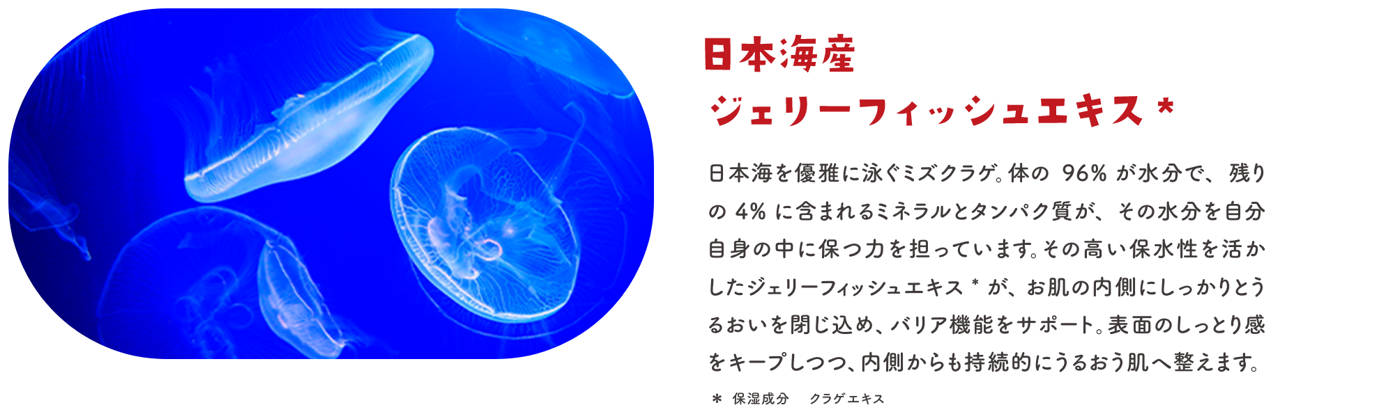日本海産ジェリーフィッシュエキス＊ 日本海を優雅に泳ぐミズクラゲ。体の96%が水分で、残りの4%に含まれるミネラルとタンパク質が、その水分を自分自身の中に保つ力を担っています。その高い保水性を活かしたジェリーフィッシュエキス＊が、お肌の内側にしっかりとうるおいを閉じ込め、バリア機能をサポート。表面のしっとり感をキープしつつ、内側からも持続的にうるおう肌へ整えます。 ＊保湿成分 クラゲエキス