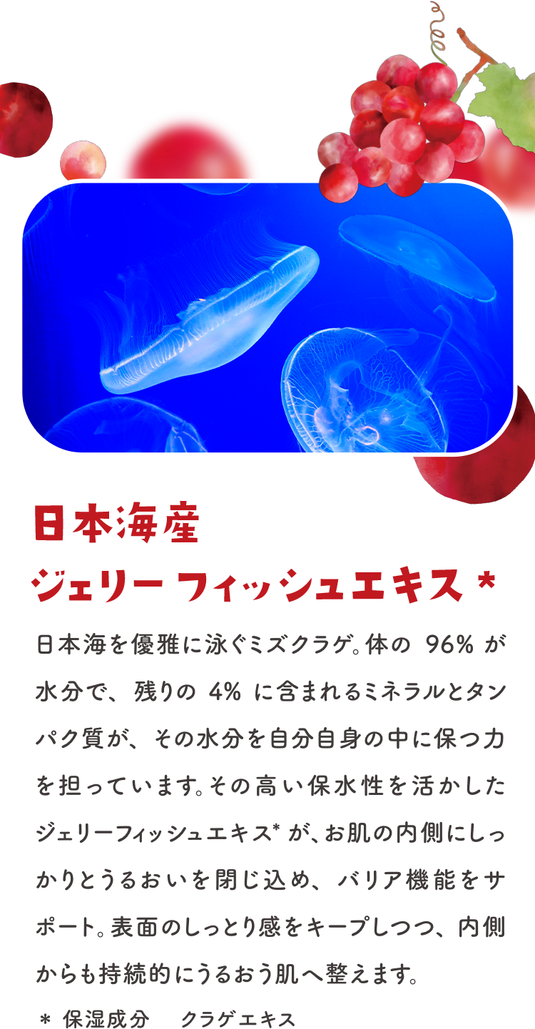 日本海産ジェリーフィッシュエキス＊ 日本海を優雅に泳ぐミズクラゲ。体の96%が水分で、残りの4%に含まれるミネラルとタンパク質が、その水分を自分自身の中に保つ力を担っています。その高い保水性を活かしたジェリーフィッシュエキス＊が、お肌の内側にしっかりとうるおいを閉じ込め、バリア機能をサポート。表面のしっとり感をキープしつつ、内側からも持続的にうるおう肌へ整えます。 ＊保湿成分 クラゲエキス