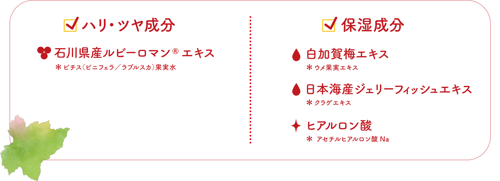 ハリ・ツヤ成分 石川県産ルビーロマン®エキス ＊ビチス（ビニフェラ／ラブルスカ）果実水 保湿成分 白加賀梅エキス ＊ウメ果実エキス 日本海産ジェリーフィッシュエキス ＊クラゲエキス ヒアルロン酸 ＊アセチルヒアルロン酸Na