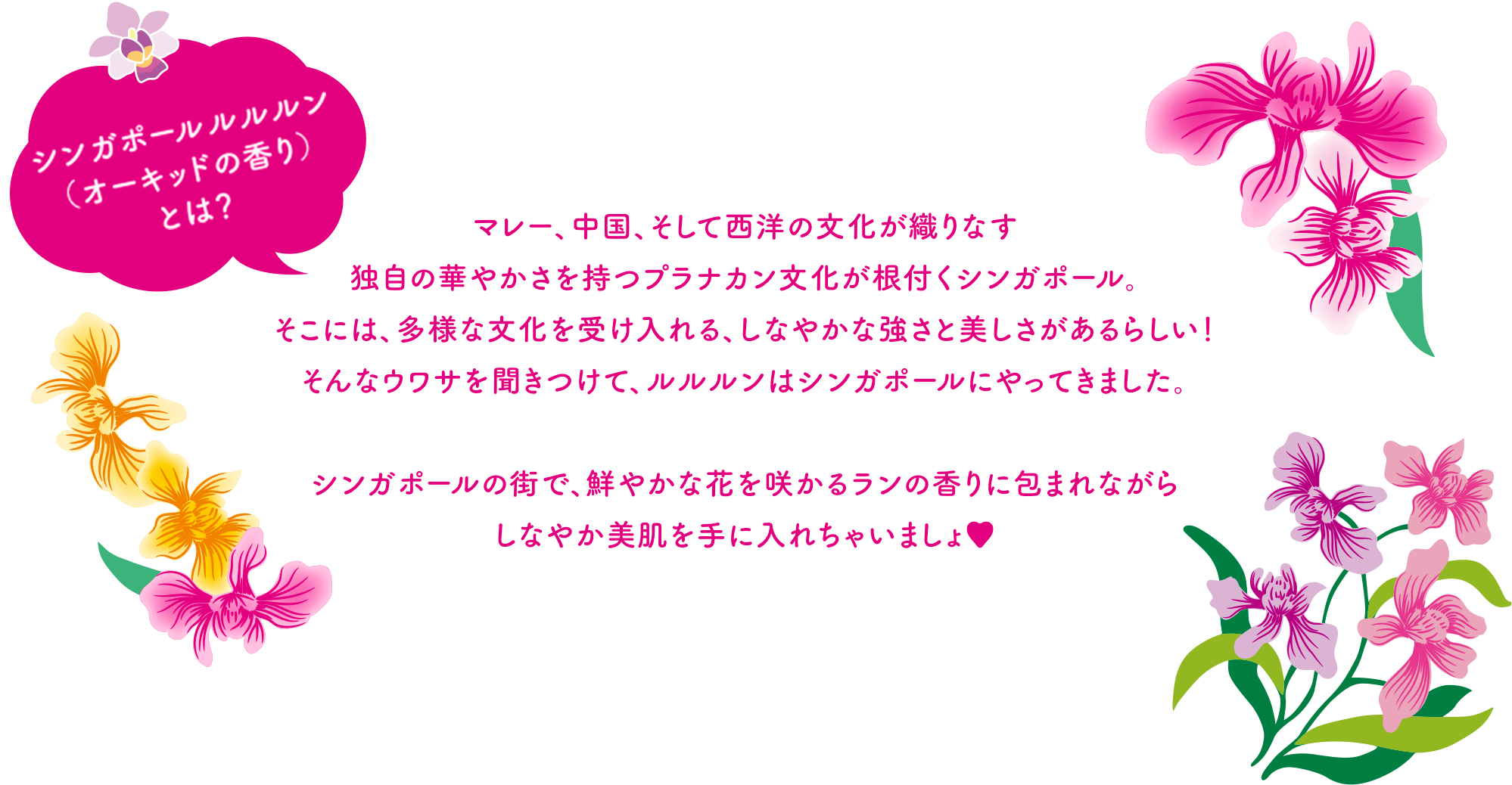 マレー、中国、そして西洋の文化が織りなす独自の華やかさを持つプラナカン文化が根付くシンガポール。そこには、多様な文化を受け入れる、しなやかな強さと美しさがあるらしい！そんなウワサを聞きつけて、ルルルンはシンガポールにやってきました。シンガポールの街で、鮮やかな花を咲かるランの香りに包まれながらしなやか美肌を手に入れちゃいましょ♥