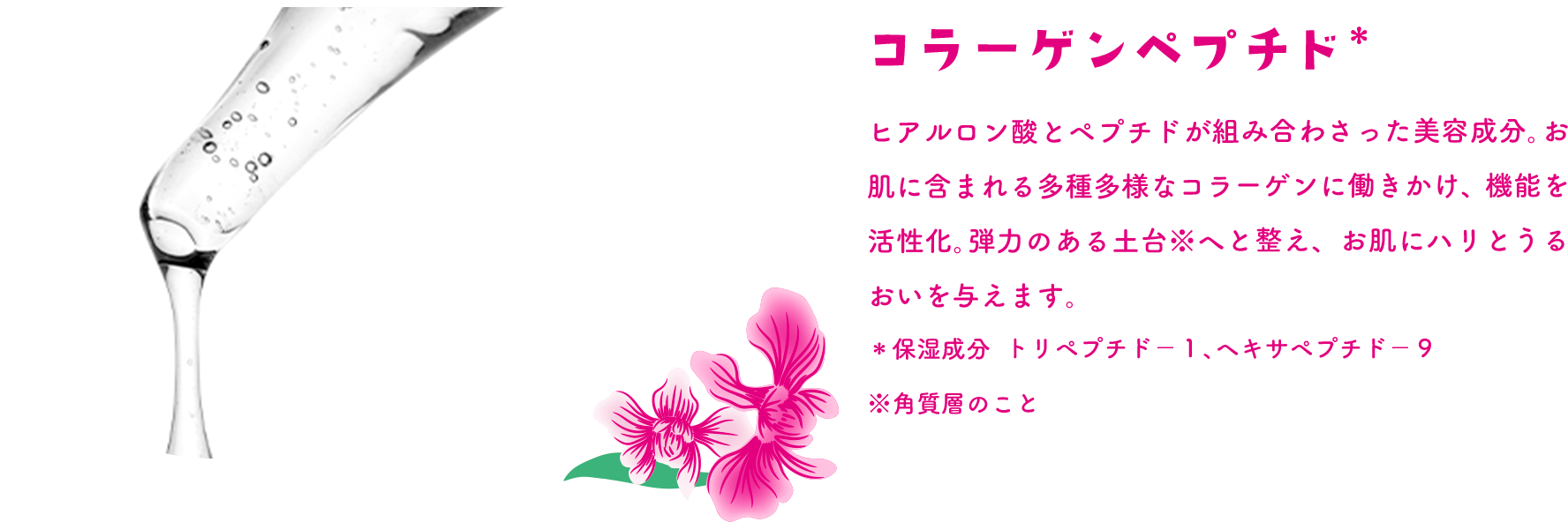コラーゲンペプチド＊ ヒアルロン酸とペプチドが組み合わさった美容成分。お肌に含まれる多種多様なコラーゲンに働きかけ、機能を活性化。弾力のある土台※へと整え、お肌にハリとうるおいを与えます。 ＊保湿成分 トリペプチド－１、ヘキサペプチド－９ ※角質層のこと