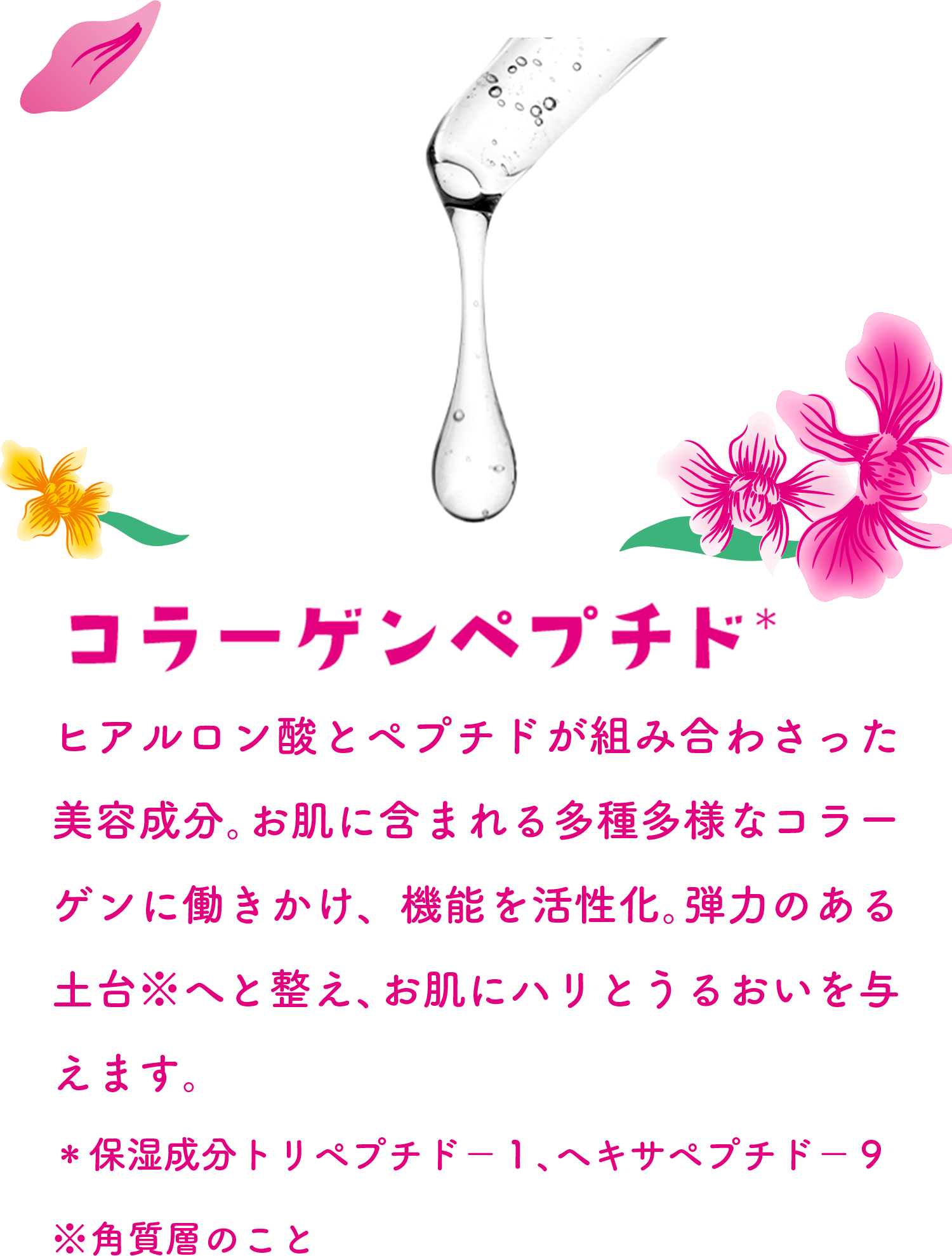 コラーゲンペプチド＊ ヒアルロン酸とペプチドが組み合わさった美容成分。お肌に含まれる多種多様なコラーゲンに働きかけ、機能を活性化。弾力のある土台※へと整え、お肌にハリとうるおいを与えます。 ＊保湿成分 トリペプチド－１、ヘキサペプチド－９ ※角質層のこと