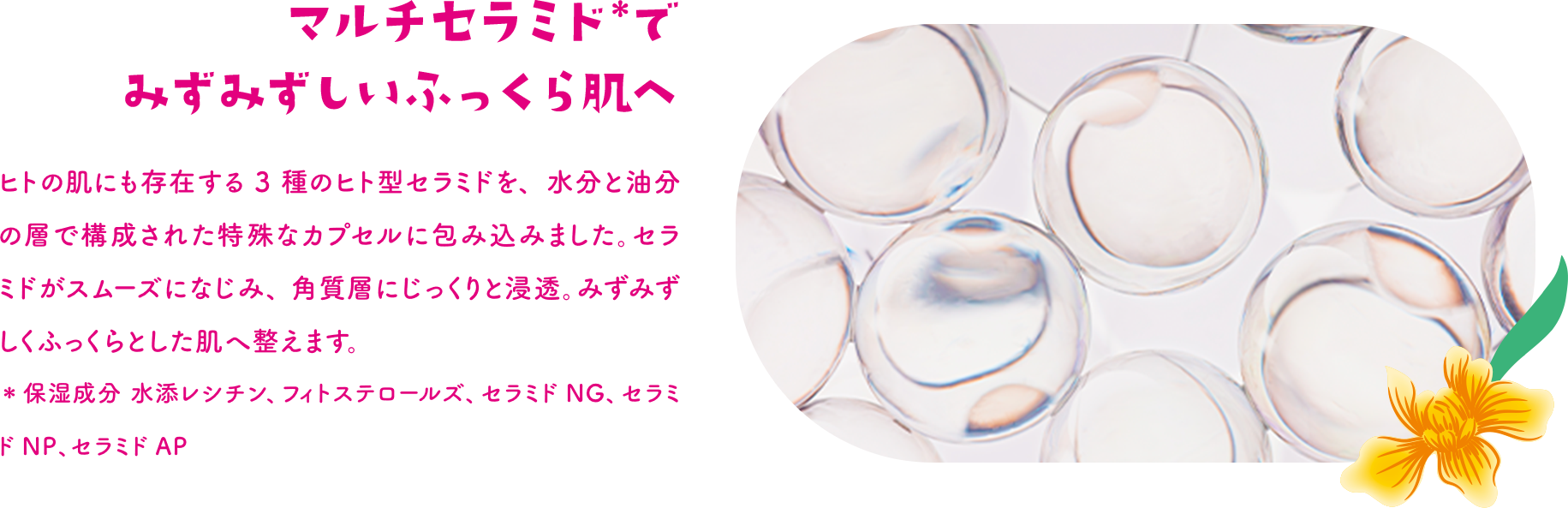 マルチセラミド＊でみずみずしいふっくら肌へ ヒトの肌にも存在する3種のヒト型セラミドを、水分と油分の層で構成された特殊なカプセルに包み込みました。セラミドがスムーズになじみ、角質層にじっくりと浸透。みずみずしくふっくらとした肌へ整えます。 ＊保湿成分 水添レシチン、フィトステロールズ、セラミドNG、セラミドNP、セラミドAP