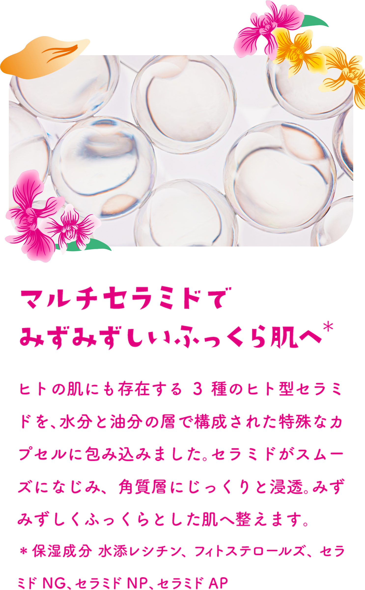 マルチセラミド＊でみずみずしいふっくら肌へ ヒトの肌にも存在する3種のヒト型セラミドを、水分と油分の層で構成された特殊なカプセルに包み込みました。セラミドがスムーズになじみ、角質層にじっくりと浸透。みずみずしくふっくらとした肌へ整えます。 ＊保湿成分 水添レシチン、フィトステロールズ、セラミドNG、セラミドNP、セラミドAP