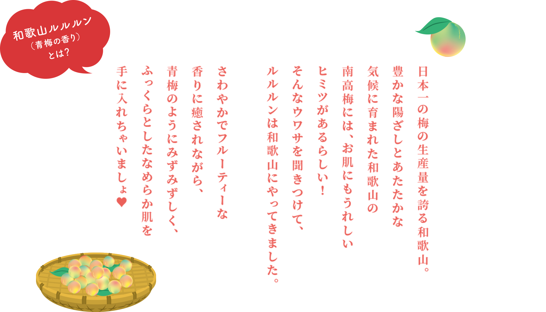 和歌山ルルルン（青梅の香り）とは？ 日本一の梅の生産量を誇る和歌山。豊かな陽ざしとあたたかな気候に育まれた和歌山の南高梅には、お肌にもうれしいヒミツがあるらしい！そんなウワサを聞きつけて、ルルルンは和歌山にやってきました。さわやかでフルーティーな香りに癒されながら、青梅のようにみずみずしく、ふっくらとしたなめらか肌を手に入れちゃいましょ♥