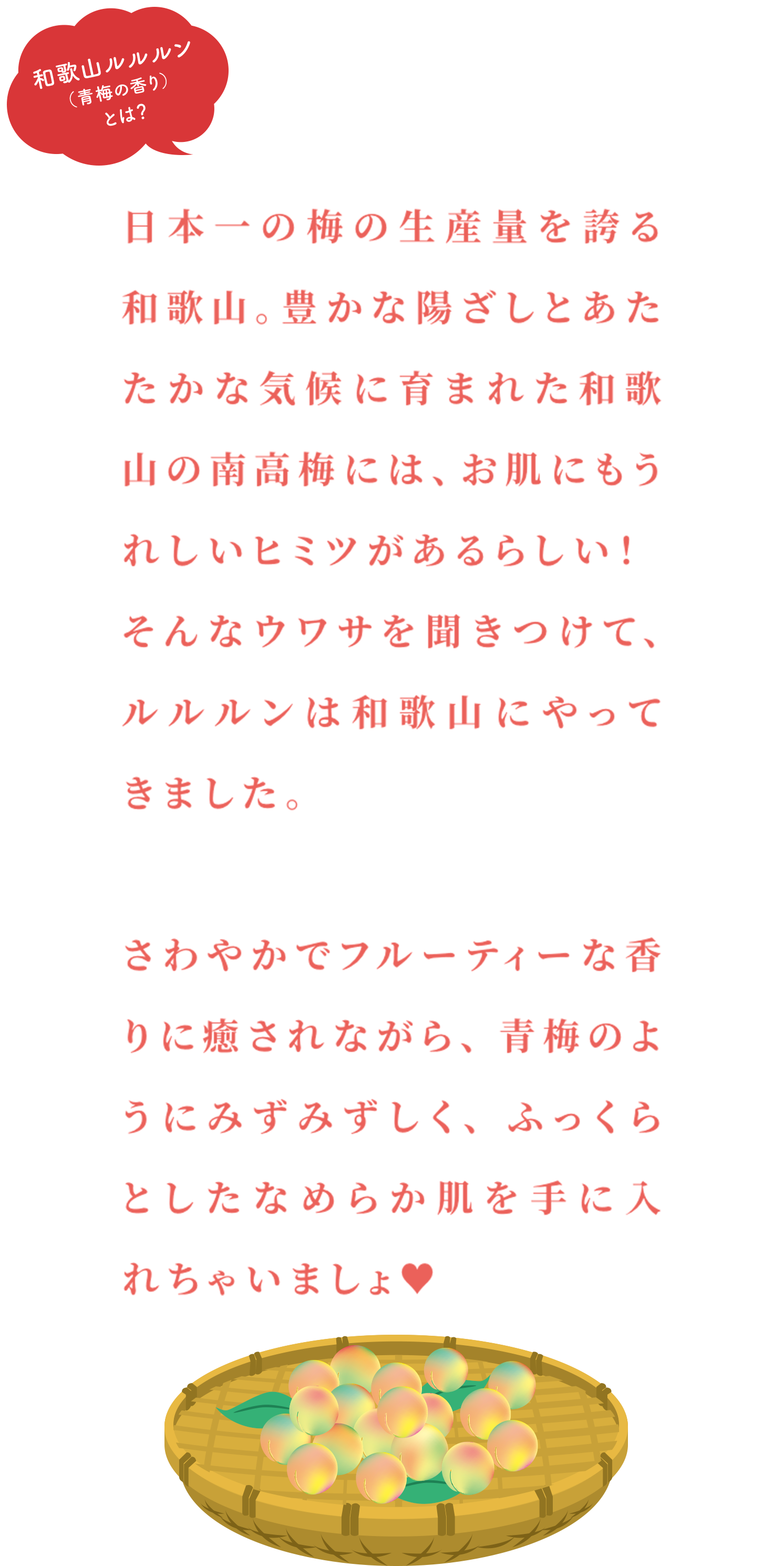 和歌山ルルルン（青梅の香り）とは？ 日本一の梅の生産量を誇る和歌山。豊かな陽ざしとあたたかな気候に育まれた和歌山の南高梅には、お肌にもうれしいヒミツがあるらしい！そんなウワサを聞きつけて、ルルルンは和歌山にやってきました。さわやかでフルーティーな香りに癒されながら、青梅のようにみずみずしく、ふっくらとしたなめらか肌を手に入れちゃいましょ♥