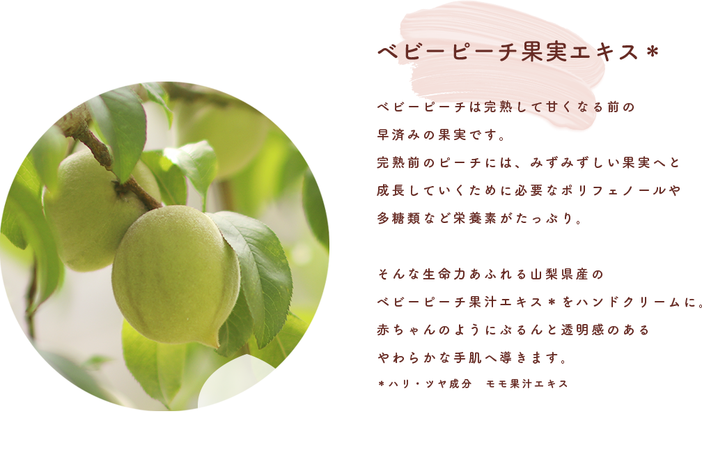 ベビーピーチ果実エキス＊