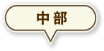 中部