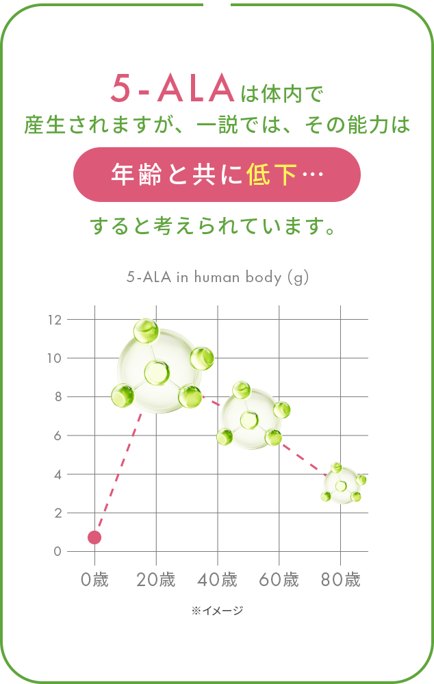 5-ALAは体内で産生されますが、一説では、その能力は年齢と共に低下…すると考えられています。