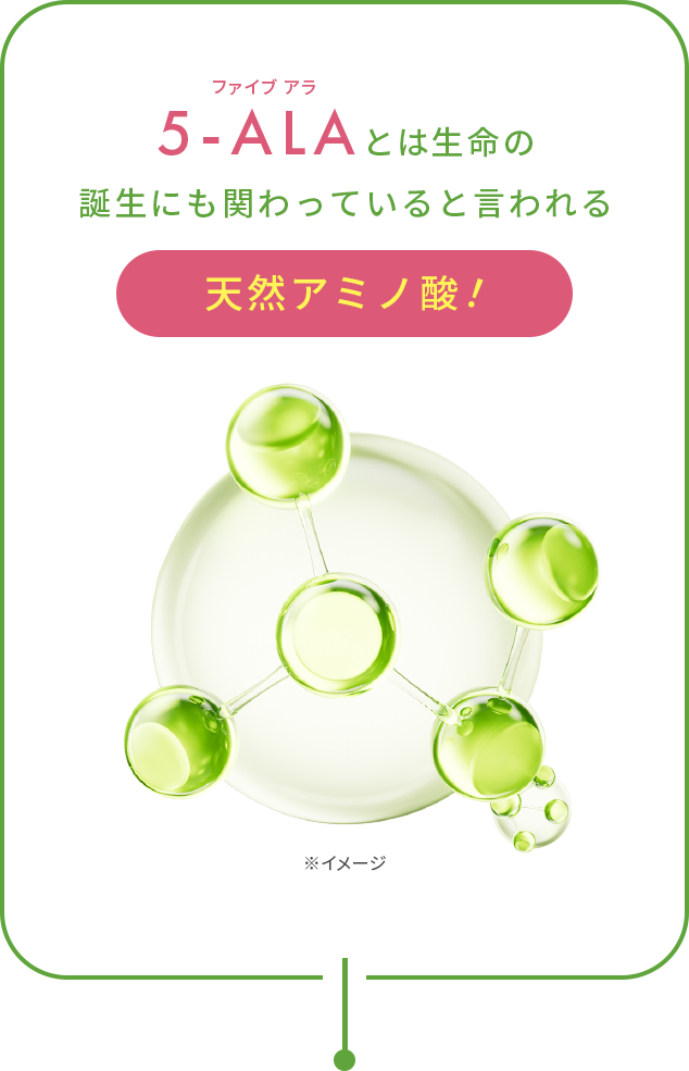 5-ALAとは生命の誕生にも関わっていると言われる天然アミノ酸！