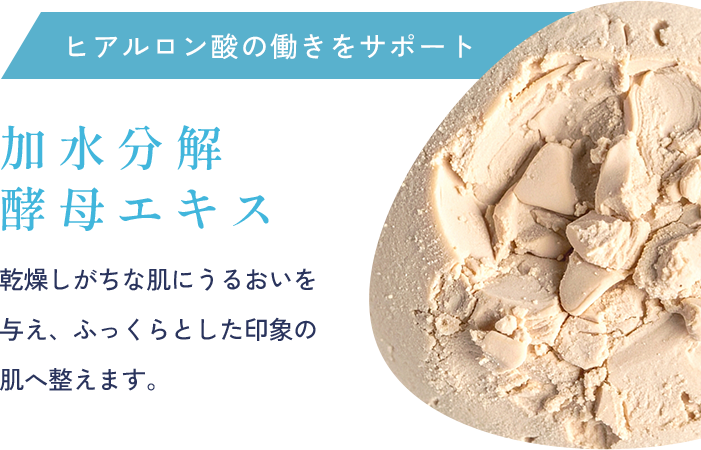 ヒアルロン酸の働きをサポート 加水分解 酵母エキス 乾燥しがちな肌にうるおいを与え、ふっくらとした印象の肌へ整えます。