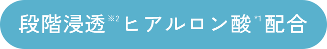 段階浸透 ヒアルロン酸 配合